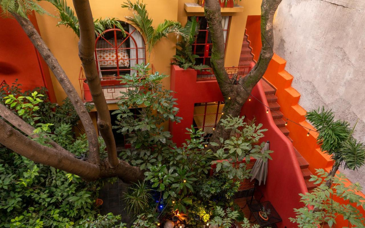 مبيت وإفطار مدينة مكسيكو The Red Tree House المظهر الخارجي الصورة